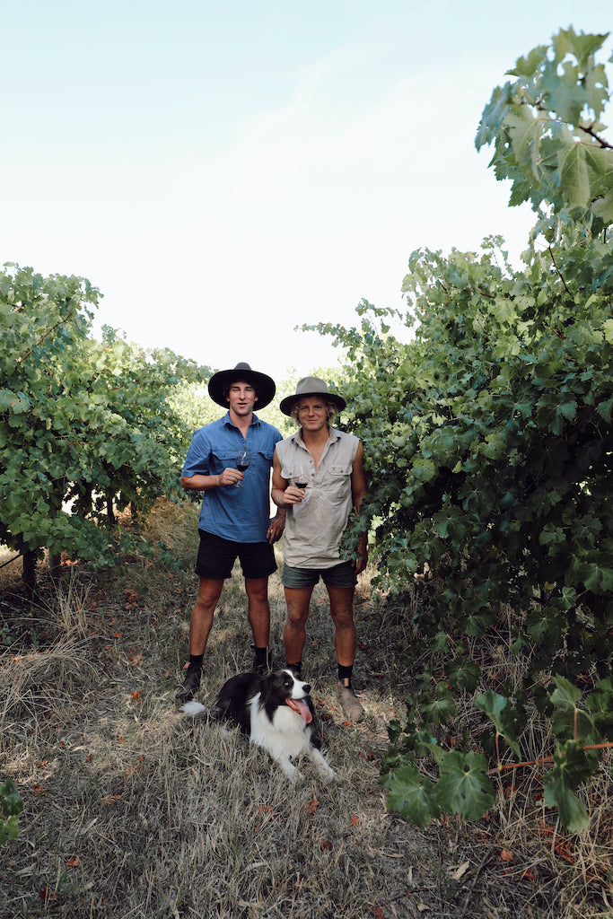 Saltfleet Wines
